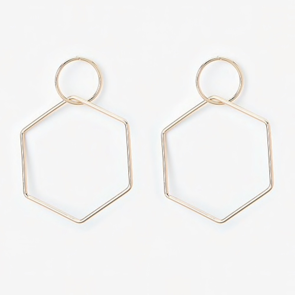 EXPRESS Hexagon Drop Earrings